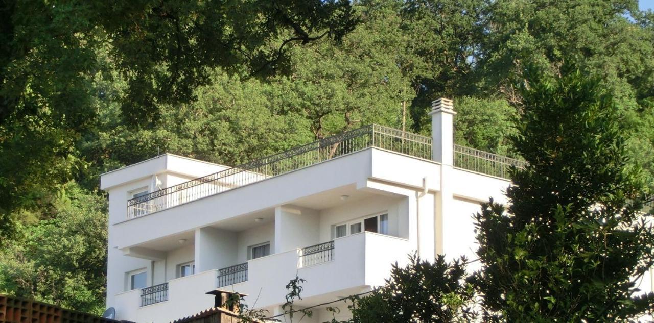 Villa Slovenika Budva Kültér fotó